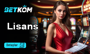 Betkom Lisans Kayıtları
